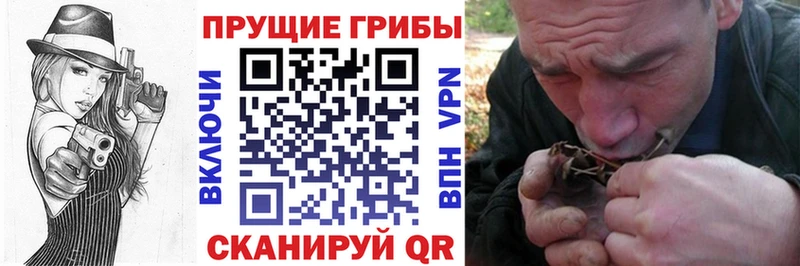 магазин  наркотиков  Орск  Галлюциногенные грибы прущие грибы 