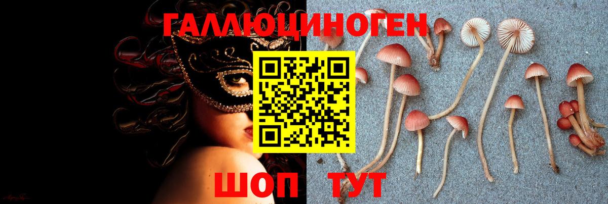 Орск  где купить наркотик  Псилоцибиновые грибы ЛСД  Вход с VPN  Галлюциногенные грибы Psilocybe 